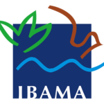 03-IBMA